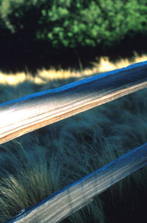 Fence, Guadalupe Mountains, Texas 